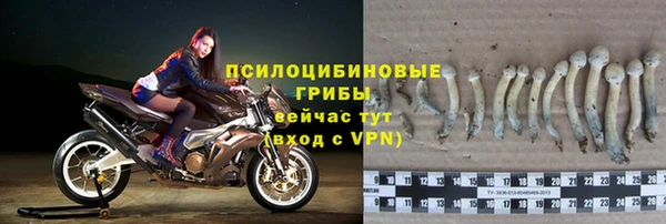 спиды Вязьма