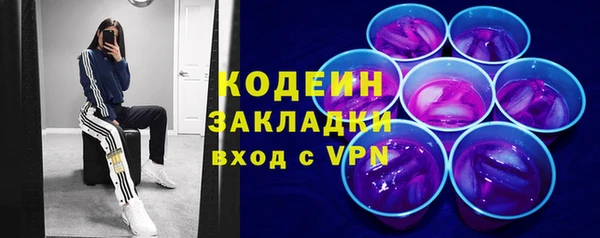 ПСИЛОЦИБИНОВЫЕ ГРИБЫ Горняк