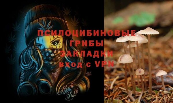 спиды Вязьма