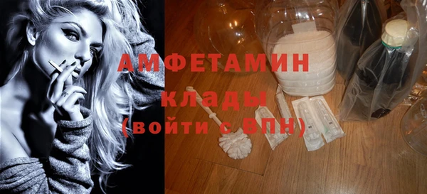 ПСИЛОЦИБИНОВЫЕ ГРИБЫ Горняк