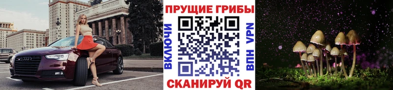Псилоцибиновые грибы ЛСД  цены   Дигора 
